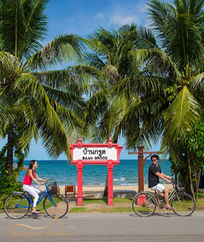 home.instagram_alt_4